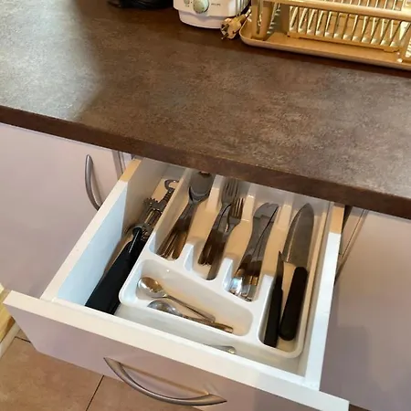 公寓 Helena Lazarevac