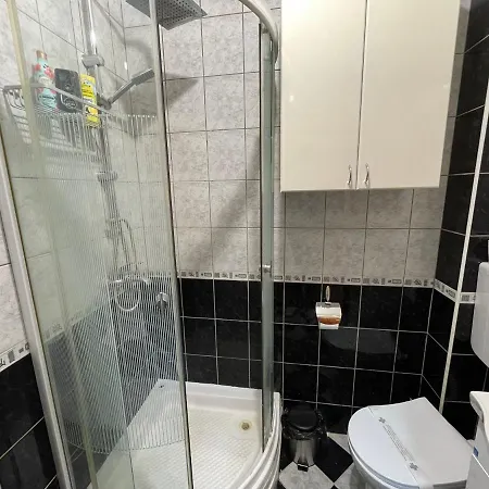 公寓 Helena Lazarevac